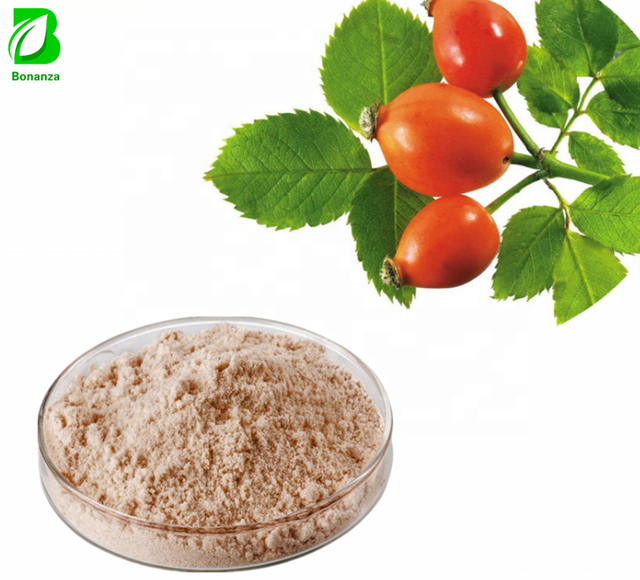 Rose Hips Extract Powder CO2 Extracted Food Grade Bulk