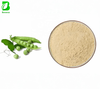 Pisum Sativum Herbal Extract Powder Natural Plant-Based Protein Health Food Grade Solvent Extracted Greenutra Brand