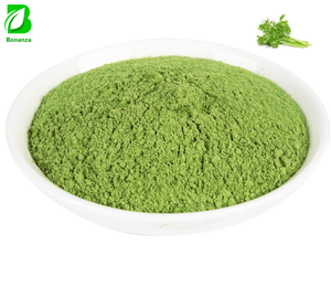 Factory Supply Natural Dehydrated Celery Root & Seed Juice Powder