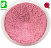 Red Dragon Fruit Powder Freeze Dried Dragon Fruit Powder Dragon Fruit Extract Powder
