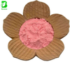 Freeze Dried Cactus Pear Fruit Powder Natural Cactus Fruit Powder Wholesale