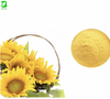 Sunflower Extract Powder 10:1 Health Grade