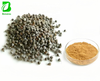 Premium Chasteberry Extract Powder Vitex Agnus Castus 10:1