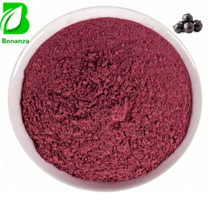 Food Grade Blackcurrant Extract Anthocyanidins Blackcurrant Fruit Juice Powder