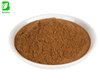Factory Supply Fennel Extract/Fennel Seed Extract Powder