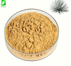  Manufacturer Natural Yucca Schidigera Extract Powder Animal Feed Additive