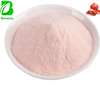 Pomegranate Powder Pomegranate Fruit Juice Powder Pomegranate Instant Powder Fruit Flavoured