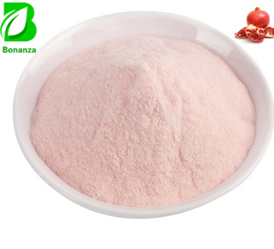 Pomegranate Powder Pomegranate Fruit Juice Powder Pomegranate Instant Powder Fruit Flavoured