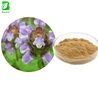 Natural Prunella Vulgaris Extract, Common Selfheal Fruit-spike Extract