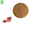 10% 30% Morroniside CAS 25406-64-8 Cornus Officinalis Extract