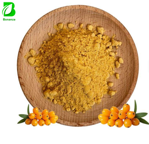 Wholesale Bulk Freeze Dried Sea Buckthorn Berry Fruit Powder Natural Superfood
