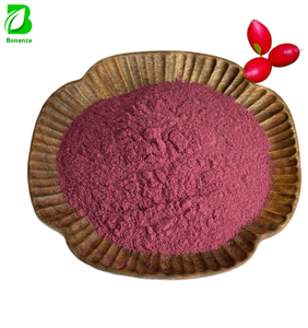 Wholesale 100% Natural Synsepalum Dulcificum Miracle Berry Powder