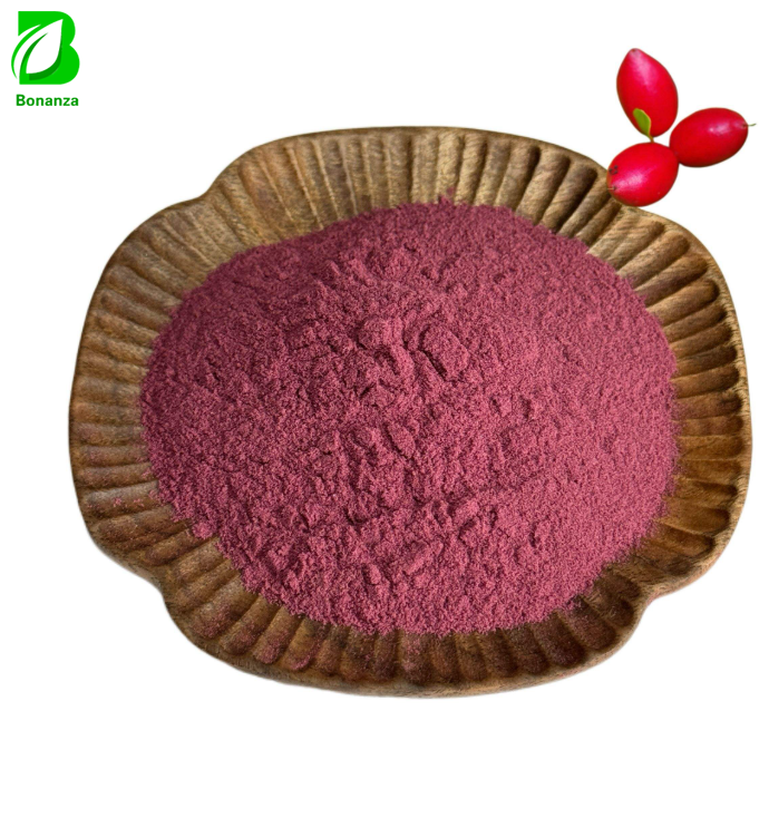 Wholesale 100% Natural Synsepalum Dulcificum Miracle Berry Powder
