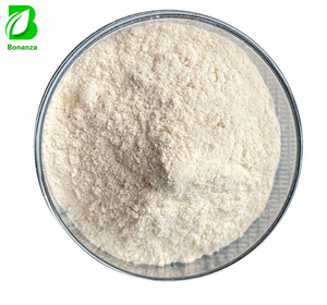Pure Natural Red Ginseng PowderGinseng Root Extract