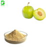 Factory Supply High Quality Kakadu Plum Extract Powder Green Plum Extract