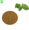 Supplying Natural Mulberry Leaf Extract in Powder Form Cultivated Wild 