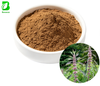 Factory Supply Food Grade Motherwort Extract Powder, Leonurus Sibiricus Extract