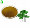 Lotus Leaf Extract Powder 2% Nuciferine Food Grade