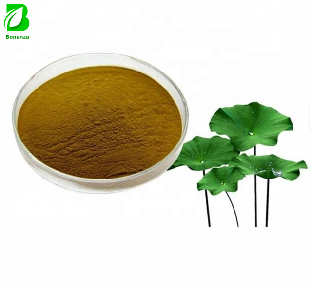 Lotus Leaf Extract Powder 2% Nuciferine Food Grade