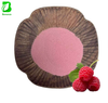 Pure Water Soluble Raspberry Juice Powder Spray & Freeze Dried Raspberry Powder