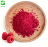 Wholesale Food Grade 100% Pure Freeze-dried Raspberry Powder