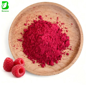 Wholesale Food Grade 100% Pure Freeze-dried Raspberry Powder