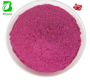 Factory Avocado Fruit Powder Pure Natural Freeze Dried Avocado Fruit Powder
