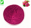 High Quality Pitaya Fruit Powder Bulk Pitaya Extract Freeze Dried Pink Pitaya Powder