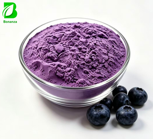 Factory Price Bilberry Fruit Extract Powder 25% Anthocyanin Powder Bilberry Extract