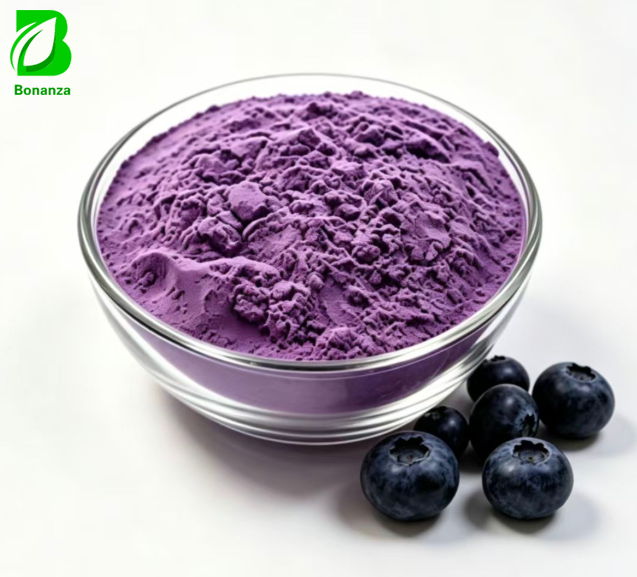 Factory Price Bilberry Fruit Extract Powder 25% Anthocyanin Powder Bilberry Extract