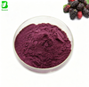 Hot Sale Food Grade Mulberry Fruit Extract Powder Pure Mulberry Powder