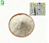 Factory Supply 98% Natural White Birch Sap Juice Powder for Drink