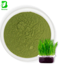 Food Grade Natural Oat Grass Extract Powder Rich in Beta Glucan