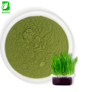 Food Grade Natural Oat Grass Extract Powder Rich in Beta Glucan