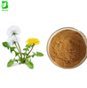 Factory Supply Dandelion Root Extract Flavone Dandelion Extract Powder