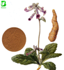 Chinese Herbal Rehmannia Glutinosa Extract 20:1 Rehmannia Root Extract