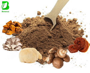 Factory Supply 6 in 1 Mushroom Blend Powder Chaga Reishi Lions Mane