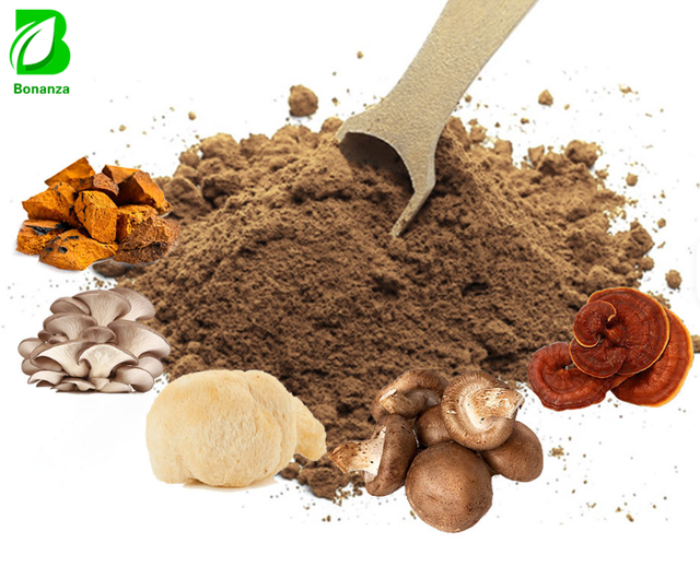 Factory Supply 6 in 1 Mushroom Blend Powder Chaga Reishi Lions Mane