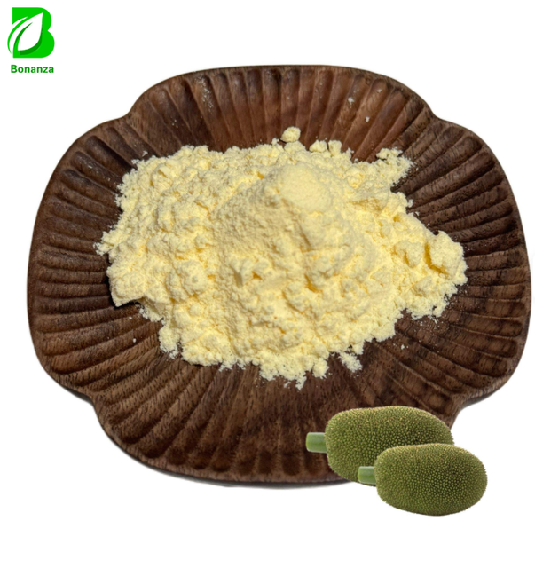 Fruiterco Jackfruit Powder Natural Jackfruit Extract & Juice Powder