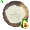 Spray Dried & Freeze Dried Avocado Fruit Powder Bulk Avocado Powder