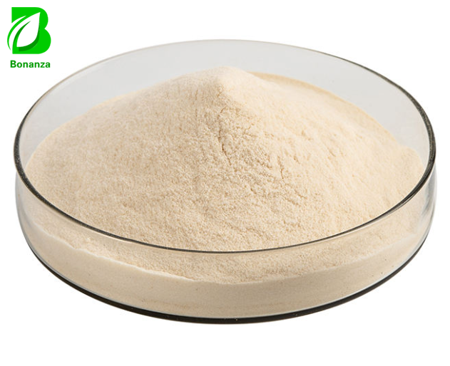 Bulk Export Freeze-Dried Aloe Vera Gel Freeze Dried Powder