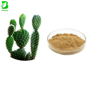 Natural Cactus Plant Extract Hoodia Cactus Extract Powder 