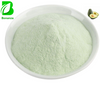 Factory Avocado Fruit Powder Pure Natural Freeze Dried Avocado Fruit Powder