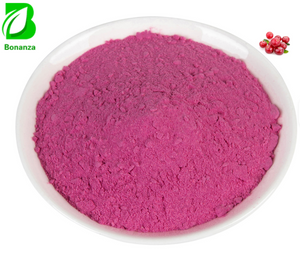 Wellnature Natural Cranberry Fruit Powder Proanthocyanidins Cranberry Extract Powder