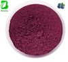 High Quality Bilberry Fruit Powder Bilberry Extract Anthocyanin Powder