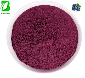 High Quality Bilberry Fruit Powder Bilberry Extract Anthocyanin Powder