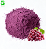 Food Grade Grape Skin Extract Powder Anthocyanin 10% Purple-Red Raw Material
