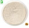 Factory Supply Bulk Natural Sea Moss Powder Chondrus Crispus Sea Moss Extract 