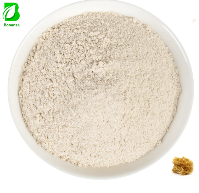 Factory Supply Bulk Natural Sea Moss Powder Chondrus Crispus Sea Moss Extract 